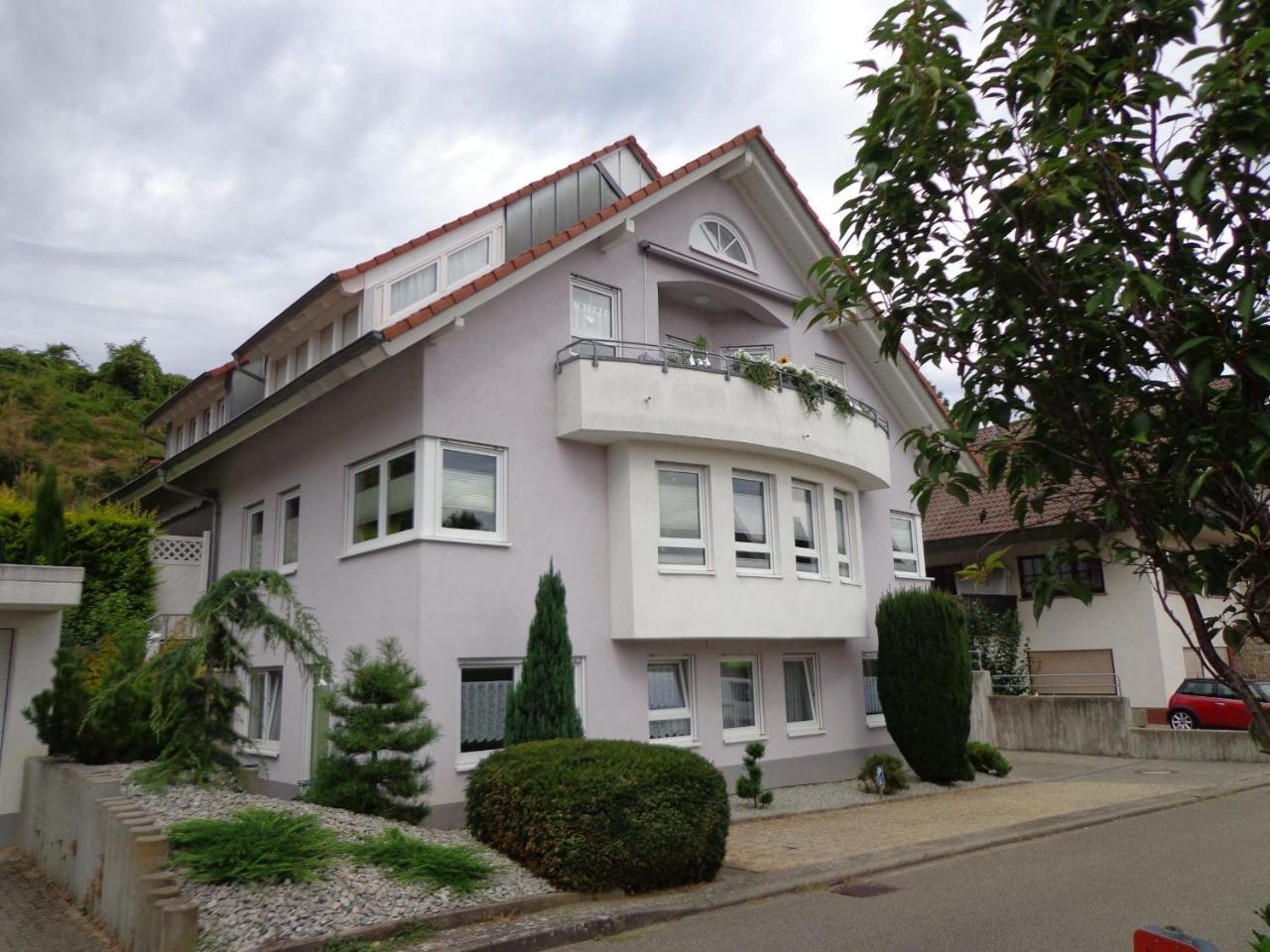 Haus Am Weinberg 2 Apartment Endingen am Kaiserstuhl Екстериор снимка